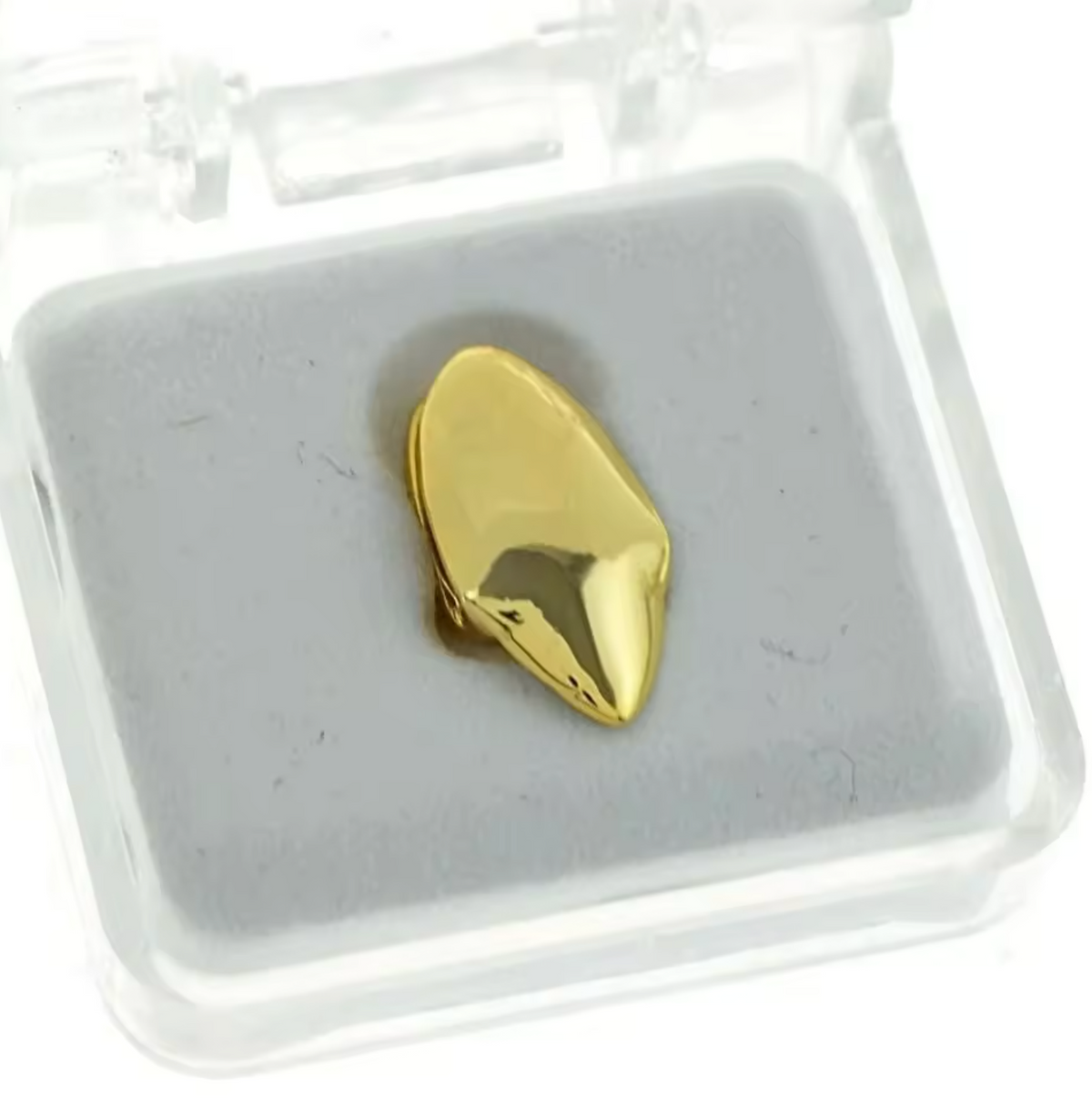 Grillz 1 dent grande canine