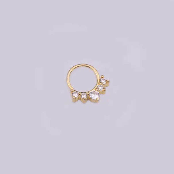 Piercing Hoop SHALY nez, oreille